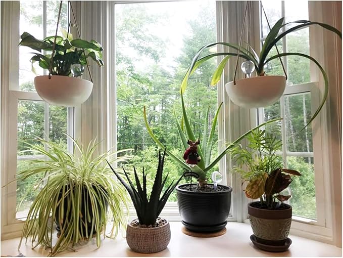 10 Pack Clear Plant Watering Globes,Plastic Self Watering Bulbs for Indoor Plants,Garden Water Device Automatic Plant Waterer Indoor Outdoor