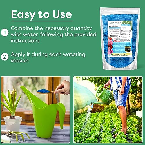 20-20-20 Water-Soluble Fertilizer – Powder for Liquid Plant Food for Indoor & Outdoor Plants, Orchids, Vegetables, Lawns, Flowers – 20 20 20 Fertilizer (20 QUARTS) (20 quarts / 20-20-20 Water-Soluble Fertilizer)