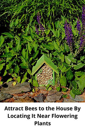Mason Bee Houses and Supplies (Forest Green)