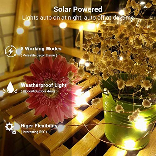 Solar Fairy Lights Outdoor (Warm White / 100 LED - 2 Pack)