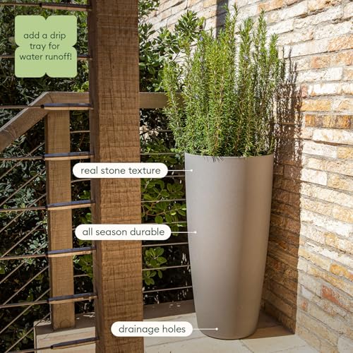 Mason Series Vega Planter (2 Count)