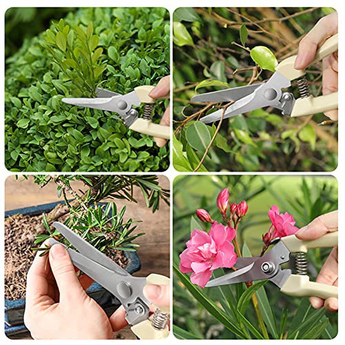 6PCS Premium garden shears (white)