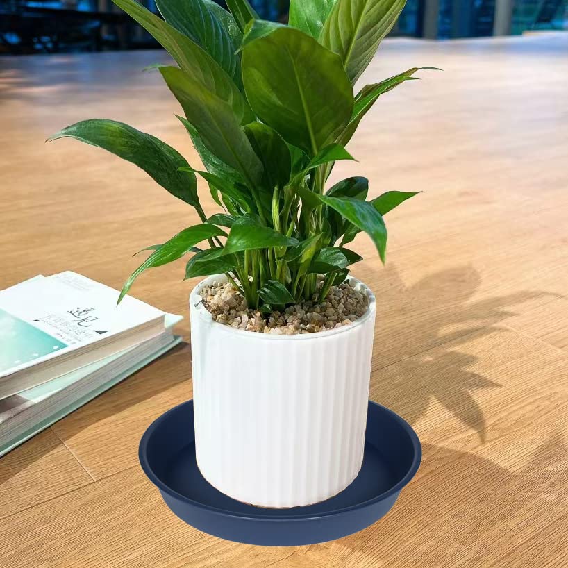 6 Pack of 12 inch Plant Saucer