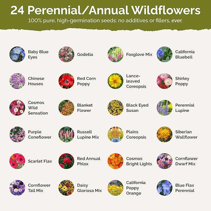 Eden Brothers Montana Wildflower Mixed Seeds for Planting, 1/4 lb, 120,000+ Seeds with Foxglove, Bluebell | Attracts Pollinators, Plant in Spring or Fall, Zones
