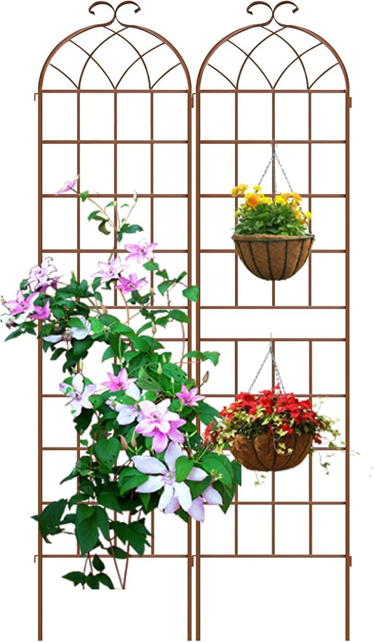 LZRS 2 Pack 83x20in Rustic Iron Arch Decoration Garden Trellis with Black Metal Coating – Perfect for Supporting Climbing Plants Outdoor, Roses, Vines, Flowers, and Vegetables,Brown