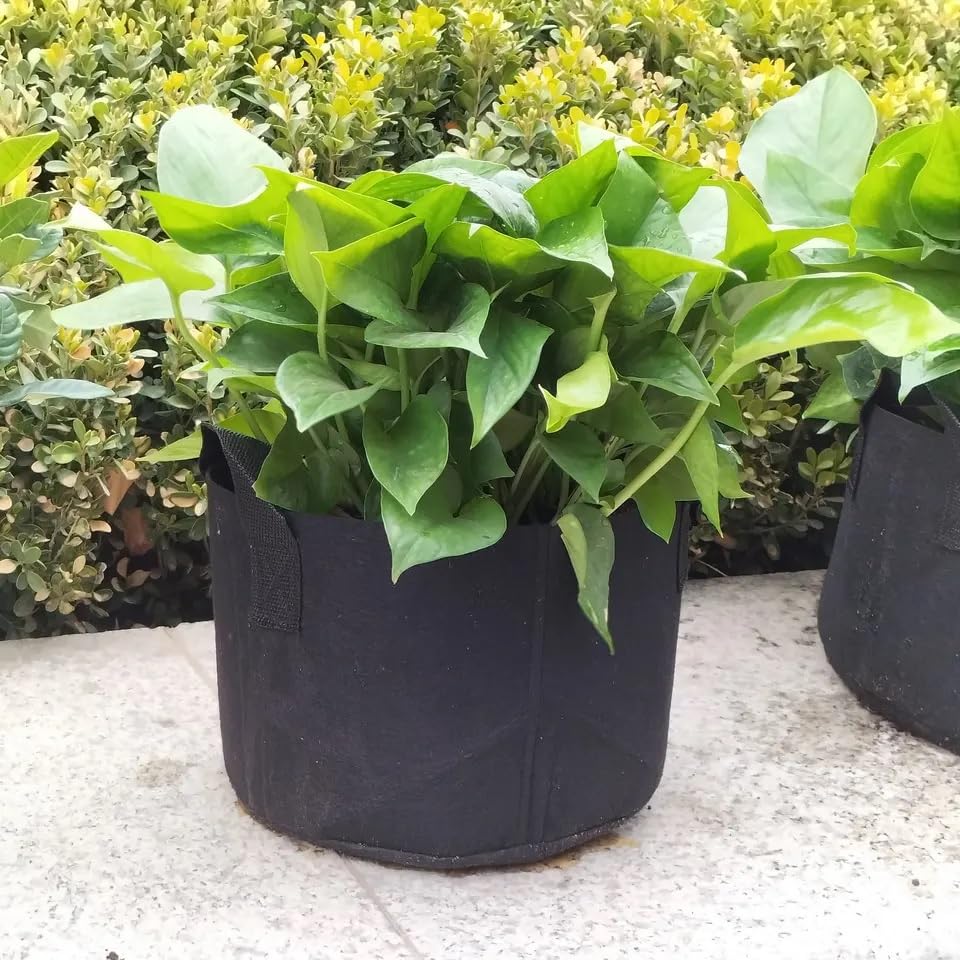 Seed Starting Soil Mix (Seed Starting Mix (24 Qts))
