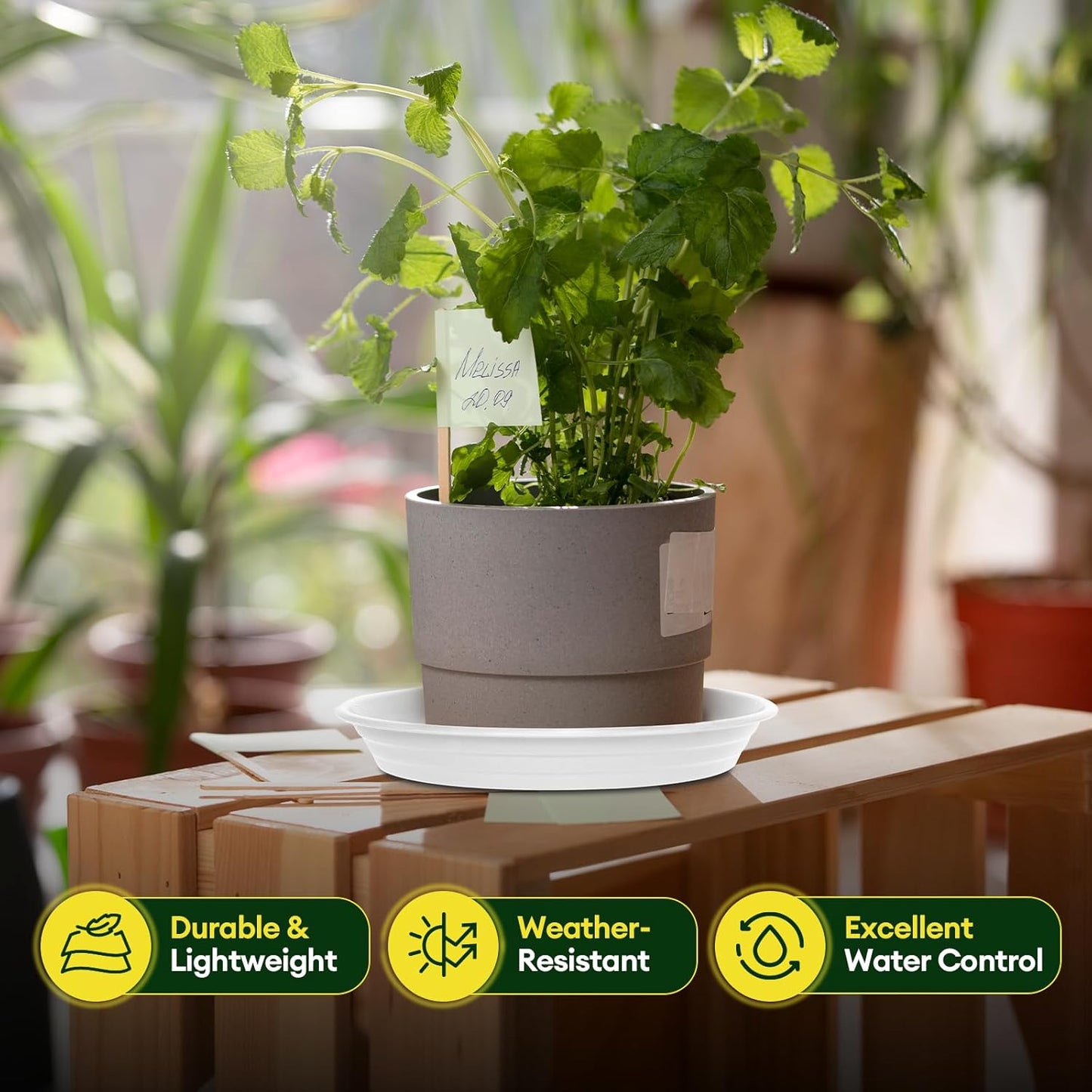 6 Pack Plant Saucer, 8 10 12 inch Plant Saucers for indoor, Heavy Duty Plastic Plant trays for pots, Grow Bags, Bird Baths, Flower Drip Trays for Indoor and Outdoor Uses (12", White)