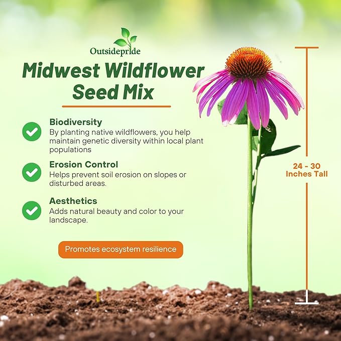 Outsidepride Midwest Wildflower Seed Mix - 5 Lbs Premium Blend of Annual & Perennial Native Wildflower Seeds for Midwestern States, Attracts Pollinators, Low-Maintenance, Ideal for Meadows & Gardens