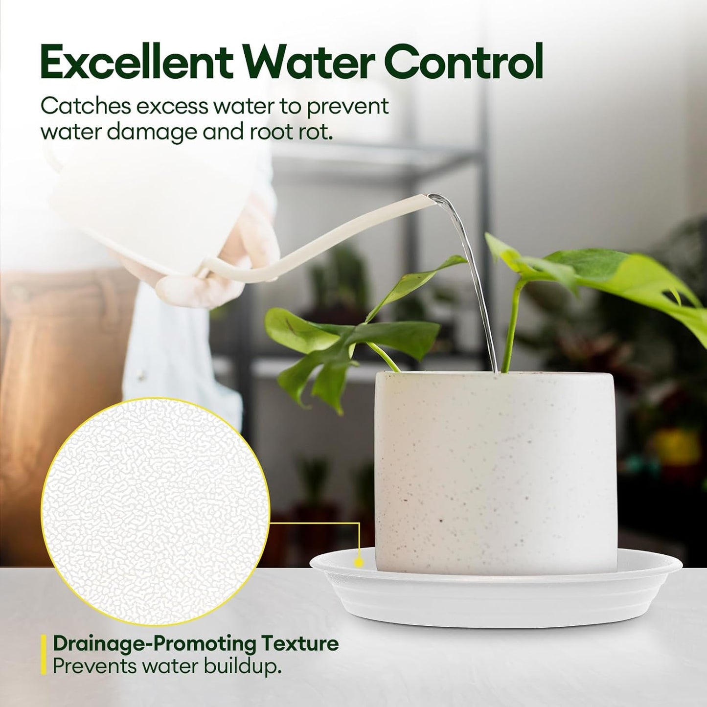 6 Pack Plant Saucer, 8 10 12 inch Plant Saucers for Indoor, Heavy Duty Plastic Plant Trays for pots, Grow Bags, Bird Baths, Flower Drip Trays for Indoor and Outdoor Uses (8", White)