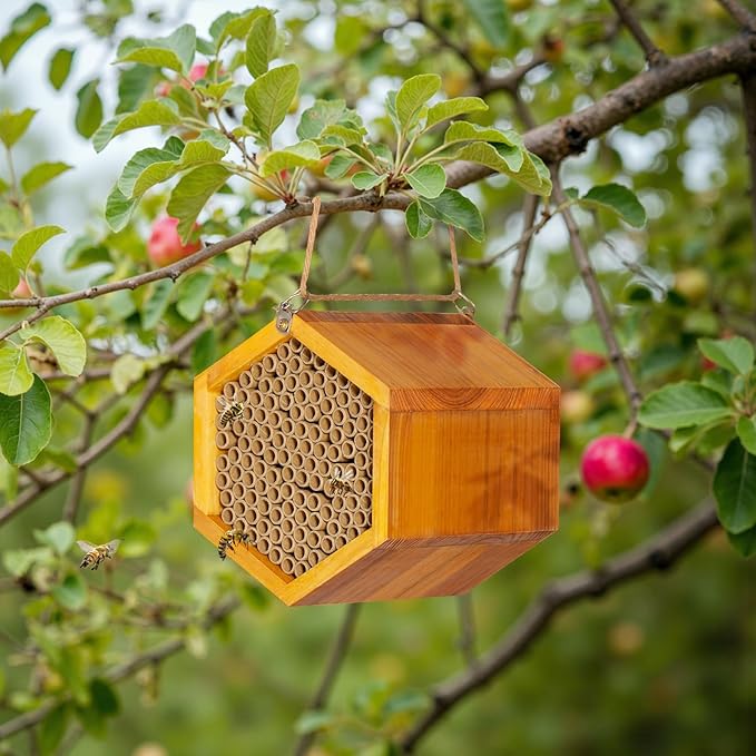 Mason Bee House - Handmade Natural Wooden Bee Hive Coated with Wax for Water-Proof and Long Service Life - Attracts Peaceful Bee Pollinators to Your Garden, Bee Houses for Garden