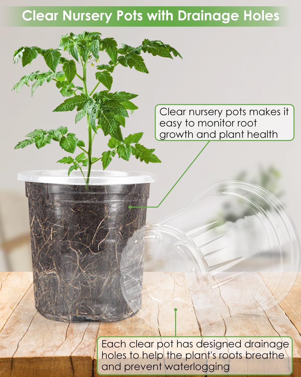 PACETAP 15Pack 6.5 Inch Reinforced Clear Nursery Pots with Drainage Holes, Thickened Plastic Plant Pots with 15 Plant Labels for Indoor Outdoor Flower Seed Starter