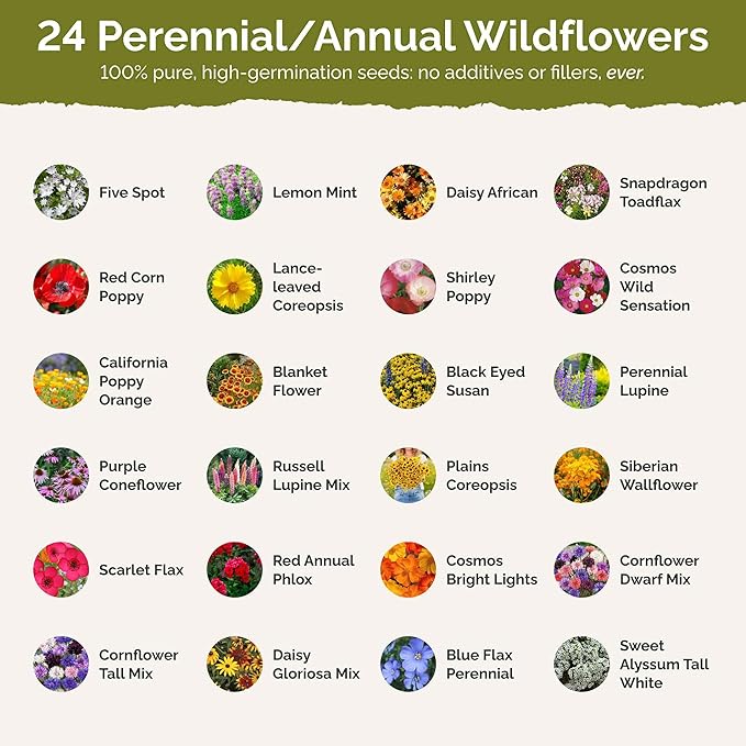 Eden Brothers Georgia Wildflower Mixed Seeds for Planting, 5 lb, 2,400,000+ Seeds with Cornflower, Cosmos, African Daisy | Attracts Pollinators, Plant in Spring or Fall, Zones 3, 4, 5, 6, 7, 8, 9, 10