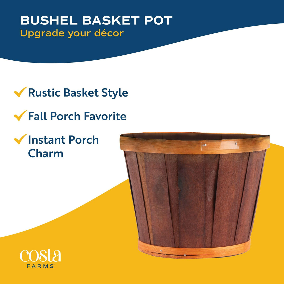 Garden Mums Live Outdoor Plant (Bushel Basket Flower Pot / 3 Qt. (Pack of 2) / Purple)