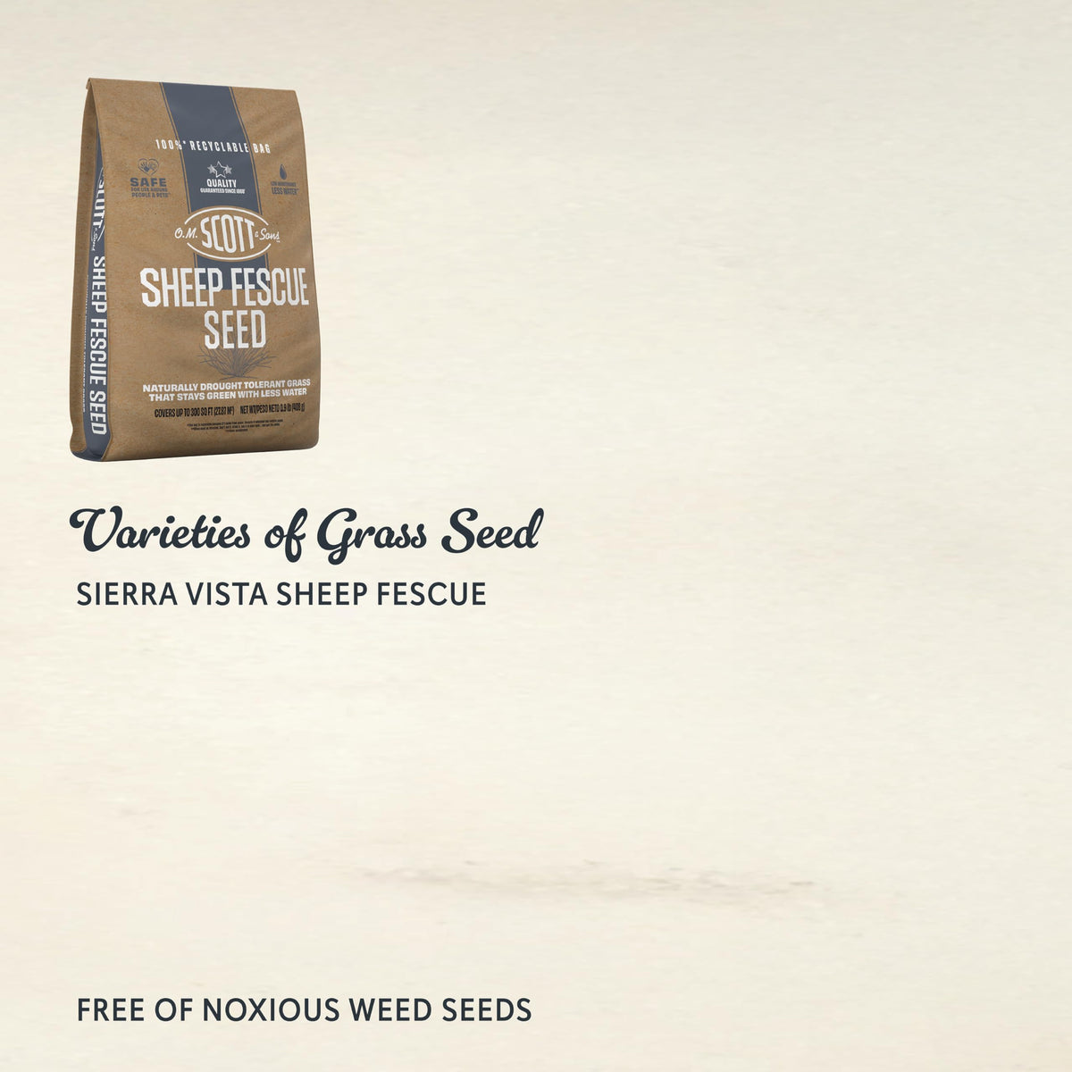 O.M. Scott & Sons Sheep Fescue Seed (1 Pack / Sheep Fescue)