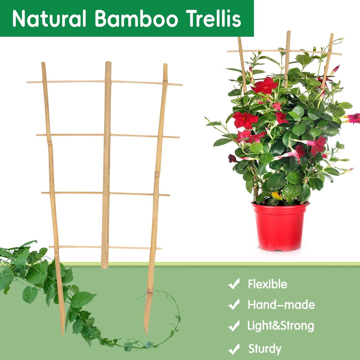 Garden Bamboo Trellis 16 Inch Fan Shaped Small Plant Trellis,Natural Wood Trellis for Climbing Plants Orchid Monstera Indoor Potted Plants-6 Pack