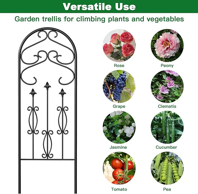 AMAGABELI Garden & Home 2 Pack 60" x 18" Metal Garden Trellis for Climbing Plants Outdoor Climbing Rose Trellis Rustproof Plant Vines Flower Vegetable Trellis for Potted Plants Support Black