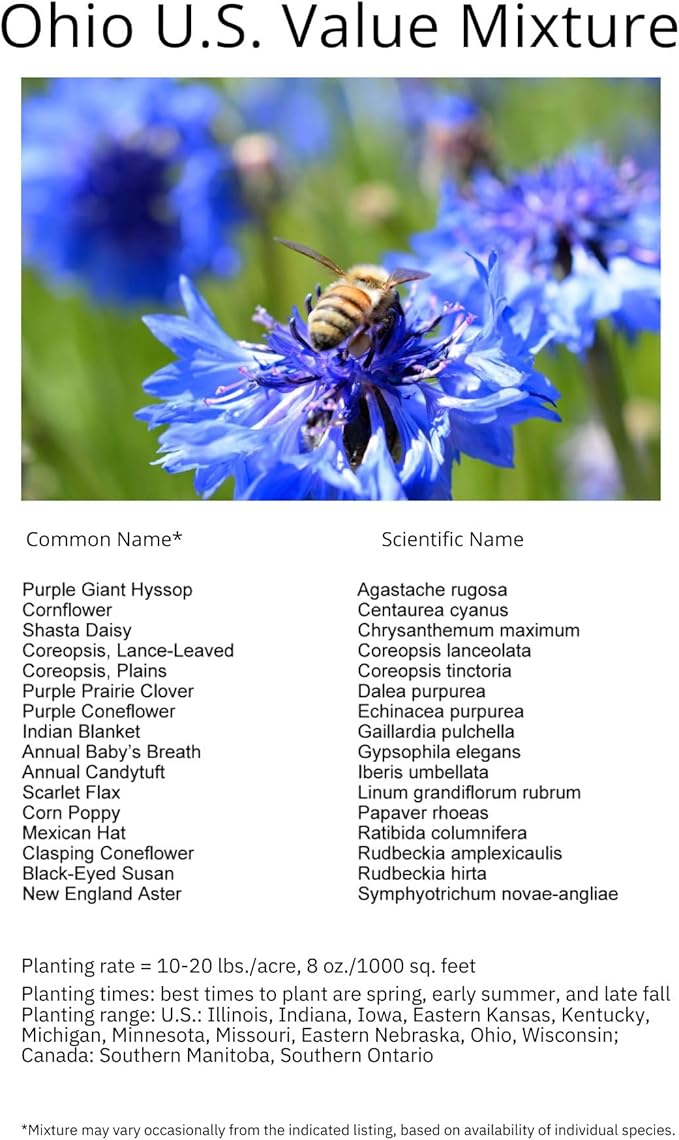 Ohio Bulk Perennial Wildflower Seed Mix 1lb Covers 2,000sq-ft - Attract Pollinators, Multi-Color Blooms - Midwest US Species Plant in Spring/Fall - Earth-Friendly Packaging (1 Pound)