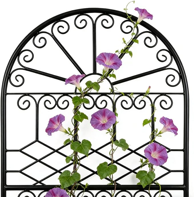 SCENDOR 82.7" H x 26.7" W Extra-Tall Decorative Metal Garden Trellis, Rustproof Iron Arched Trellis with Scrollwork for Large Climbing Plants, Ideal for Roses, Clematis, and Privacy Screens 1 Pack
