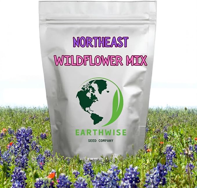 Earthwise Northeast Native and Naturalized Wildflower Seed Mix – Season-Long Color, Pollinator Friendly, Organic, Low Maintenance, Chemical-Free, Pet Safe – Covers Up to 500 sq ft, 1/4 lb