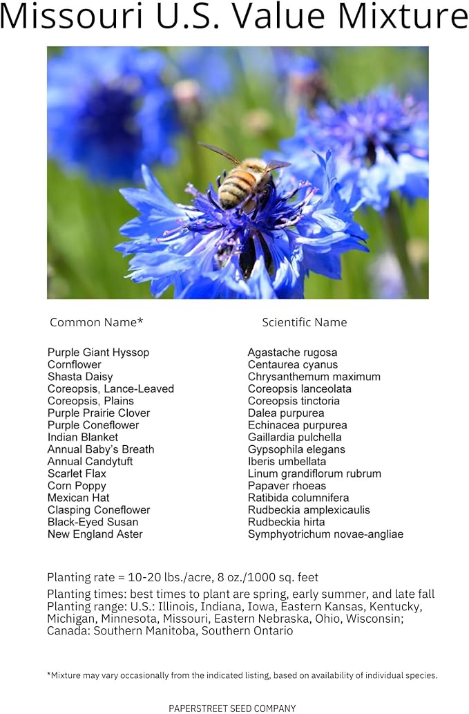 Missouri Bulk Perennial Wildflower Seed Mix 1lb Covers 2,000sq-ft - Attract Pollinators, Multi-Color Blooms - Midwest US Species Plant in Spring/Fall - Earth-Friendly Packaging (1/4 Pound)