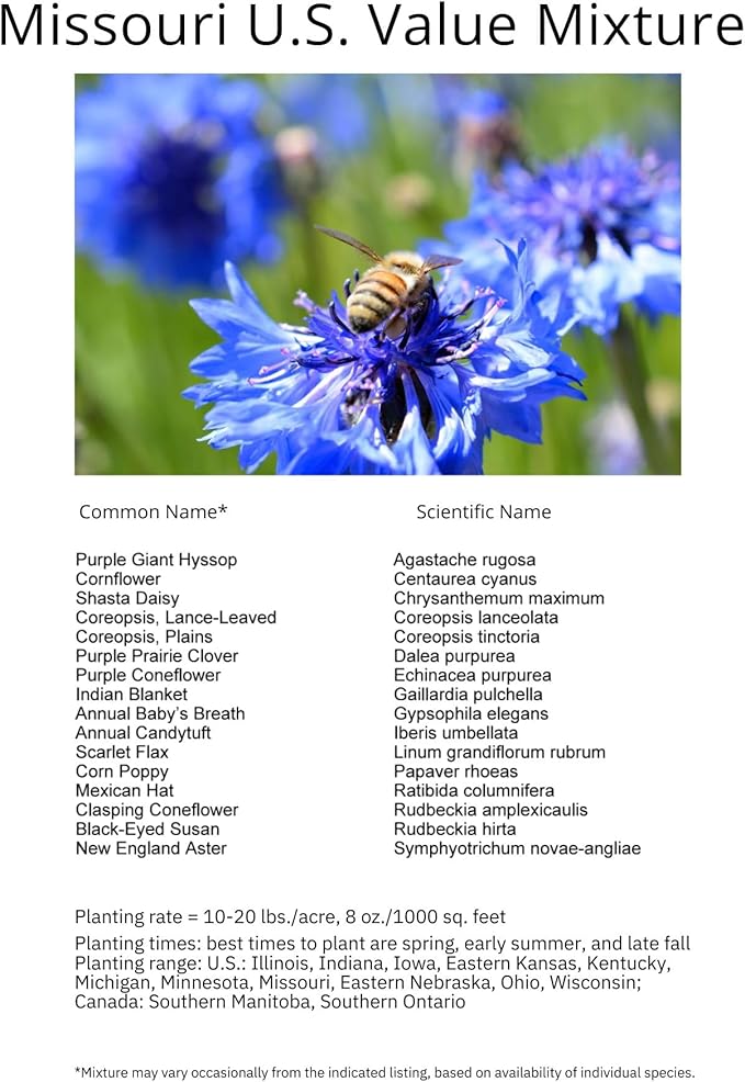 Missouri Bulk Perennial Wildflower Seed Mix 1lb Covers 2,000sq-ft - Attract Pollinators, Multi-Color Blooms - Midwest US Species Plant in Spring/Fall - Earth-Friendly Packaging (1 Pound)