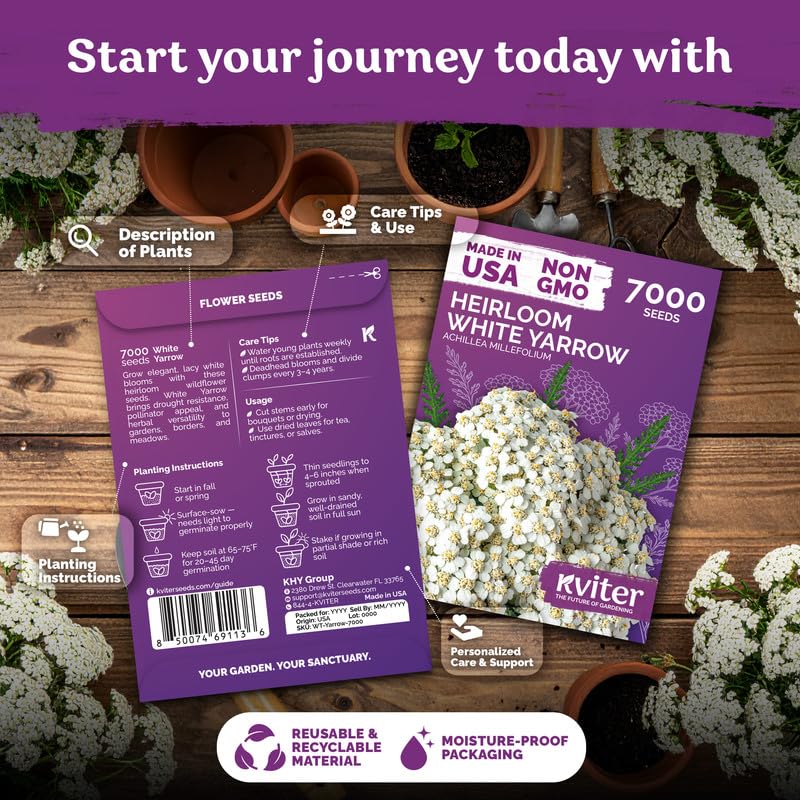 7 000 White Yarrow Heirloom Flower Seeds for Planting