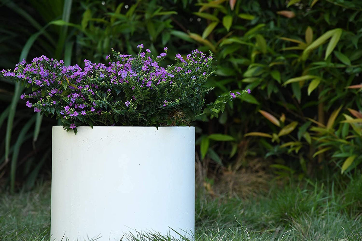 Small Round Cylinder White Concrete Planter 9.8" Tall (Pure White / 9.8" Dia)