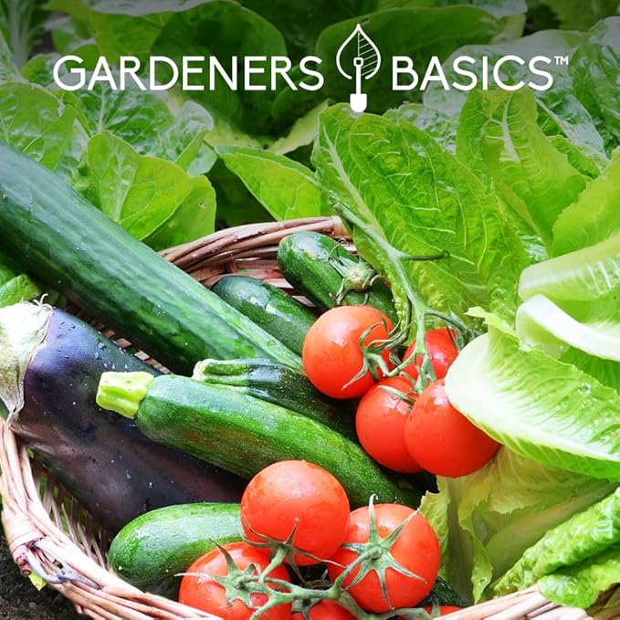 Gardeners Basics Seed Safe Kit - 35 Easy to Grow Heirloom Vegetable Seeds for Beginners - Non GMO Garden Starter Set with 17,000+ Seeds - Gardening Gift for Families