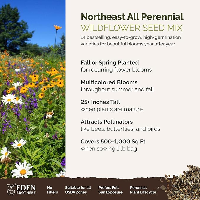 Eden Brothers Northeast All Perennial Wildflower Mixed Seeds for Planting, 1 lb, 480,000+ Seeds with Milkweed, NE Aster | Attracts Pollinators, Plant in Spring or Fall, Zones 3, 4, 5, 6, 7, 8, 9, 10