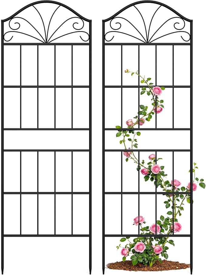 Metal Trellis for Climbing Plants Outdoor, 60 * 19.7 Inch Tall Garden Trellis with Black Rustproof Coating, Decorative Rose Trellis for Climbing Roses, Vines, and Flowers, 2 Pack