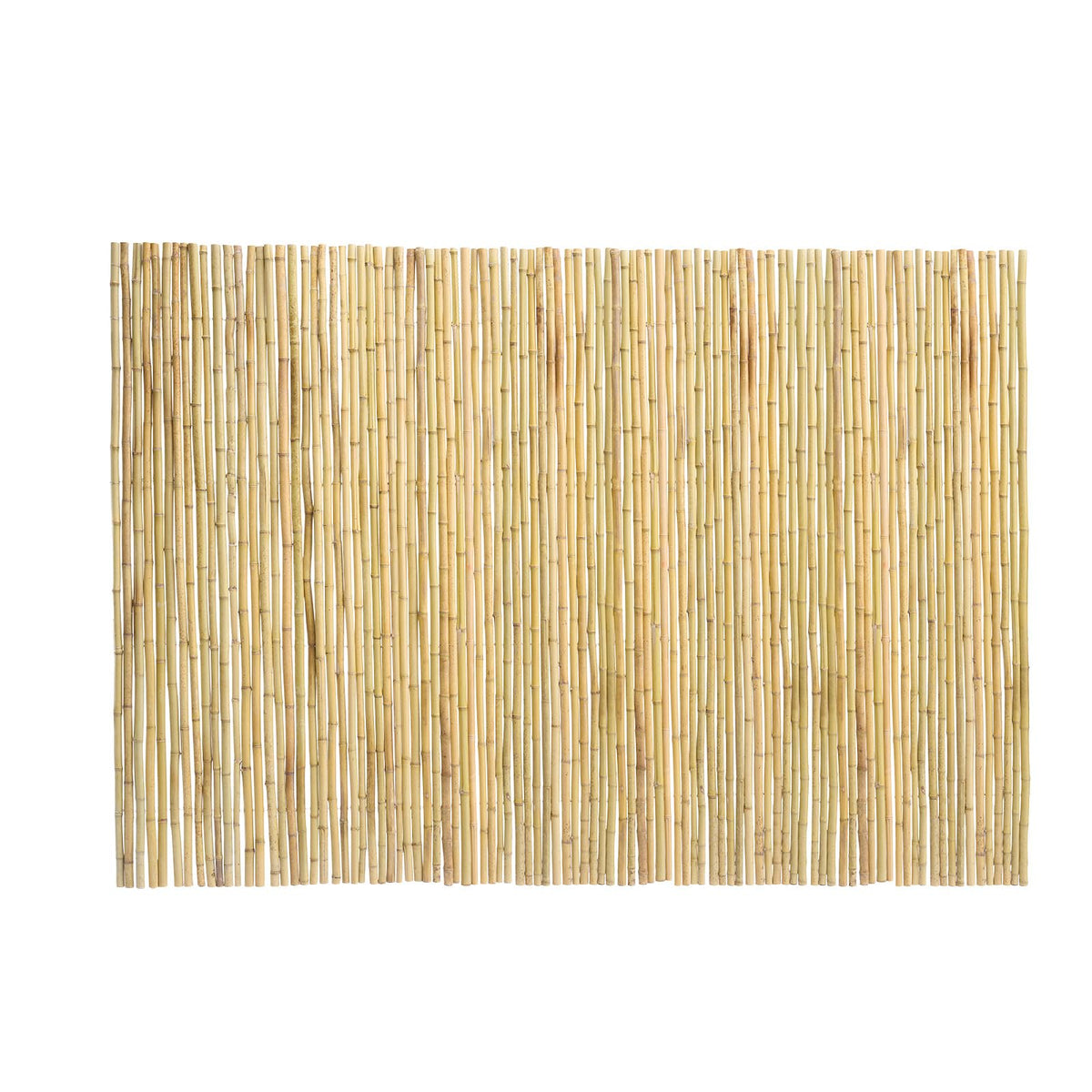 Natural Rolled Bamboo Fence (Rolled Fence / 6Ftx8Ft)