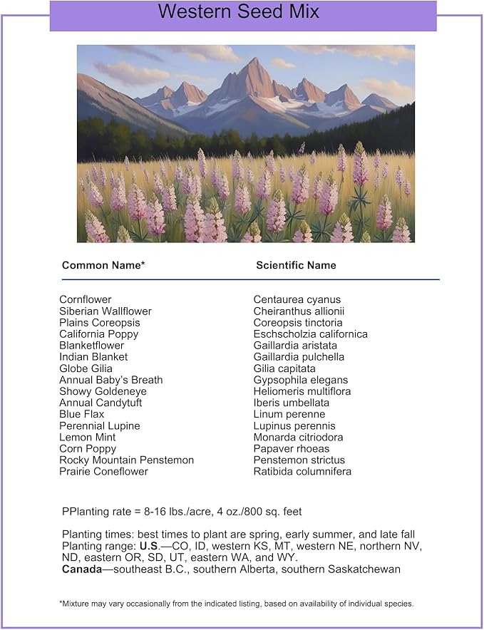Utah Wildflower Seed Mix, 1 lb Covers 3,200 sq ft, Multi-Color Blooms, Spring and Fall Planting (1/4 Pound)