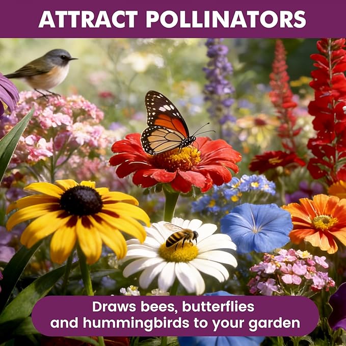 Wildflower Seeds Bulk 10000+, 1.06oz Butterfly Hummingbird Mix, 21 Variety Perennial Annual Mix, Non-GMO Heirloom Flower Seeds for Planting Outdoor Indoor, High Germination Rate Garden Seeds