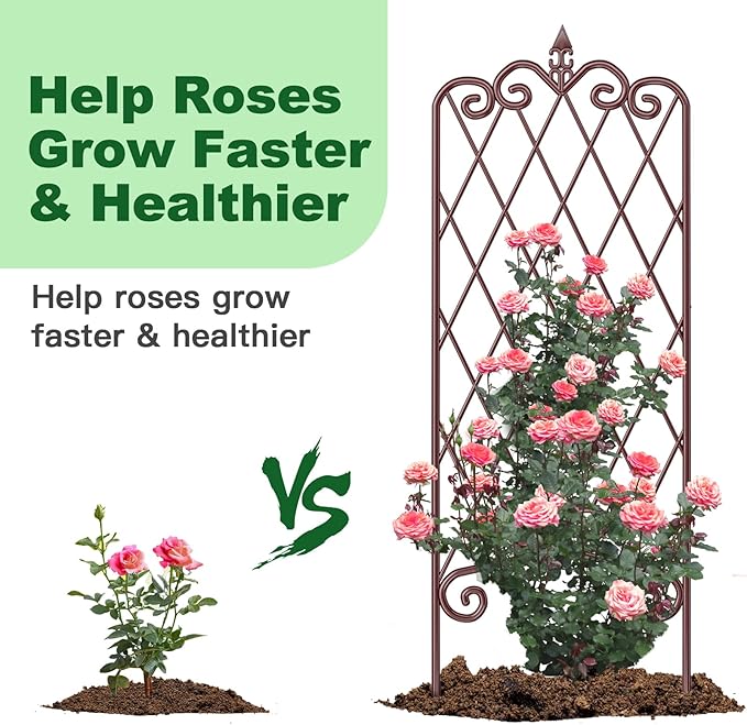 AMAGABELI GARDEN & HOME 2 Pack 47” x 16” Metal Garden Trellis for Climbing Plants Outdoor Trellis for Climbing Roses Vines Vegetables Metal for Ivy Cucumbers Brown