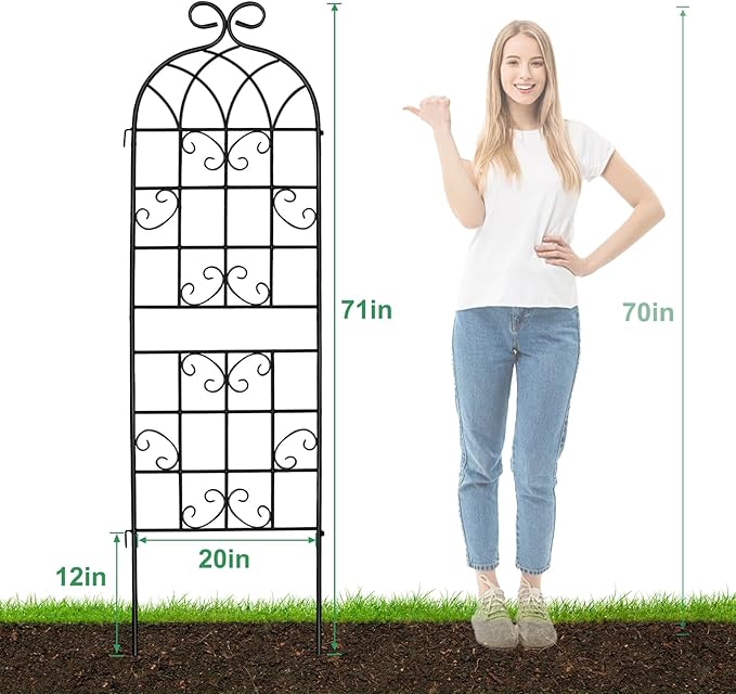 Lorenzo 2 Pcs 70 x 19.7 inch Metal Garden Trellis for Climbing Plants, Black Metal Coating Rustproof, Perfect for Supporting Climbing Plants Outdoor