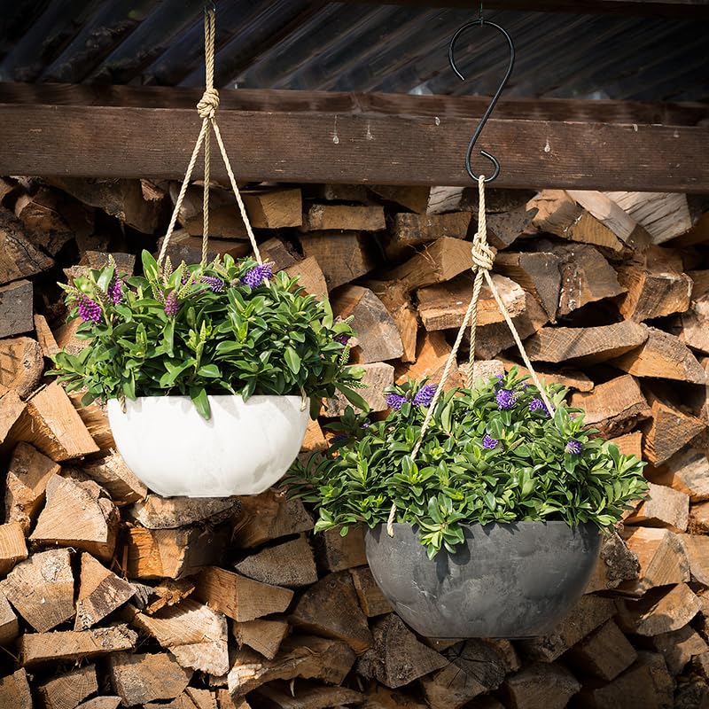 Self Watering Hanging Planter for Indoor or Outdoor Plants (White / 10")