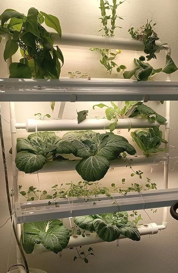 PVC Hydroponics Growing System 54 Plant Sites 6 Pipes Hydroponic Grow Kit Garden System Vegetable Tool with Pump