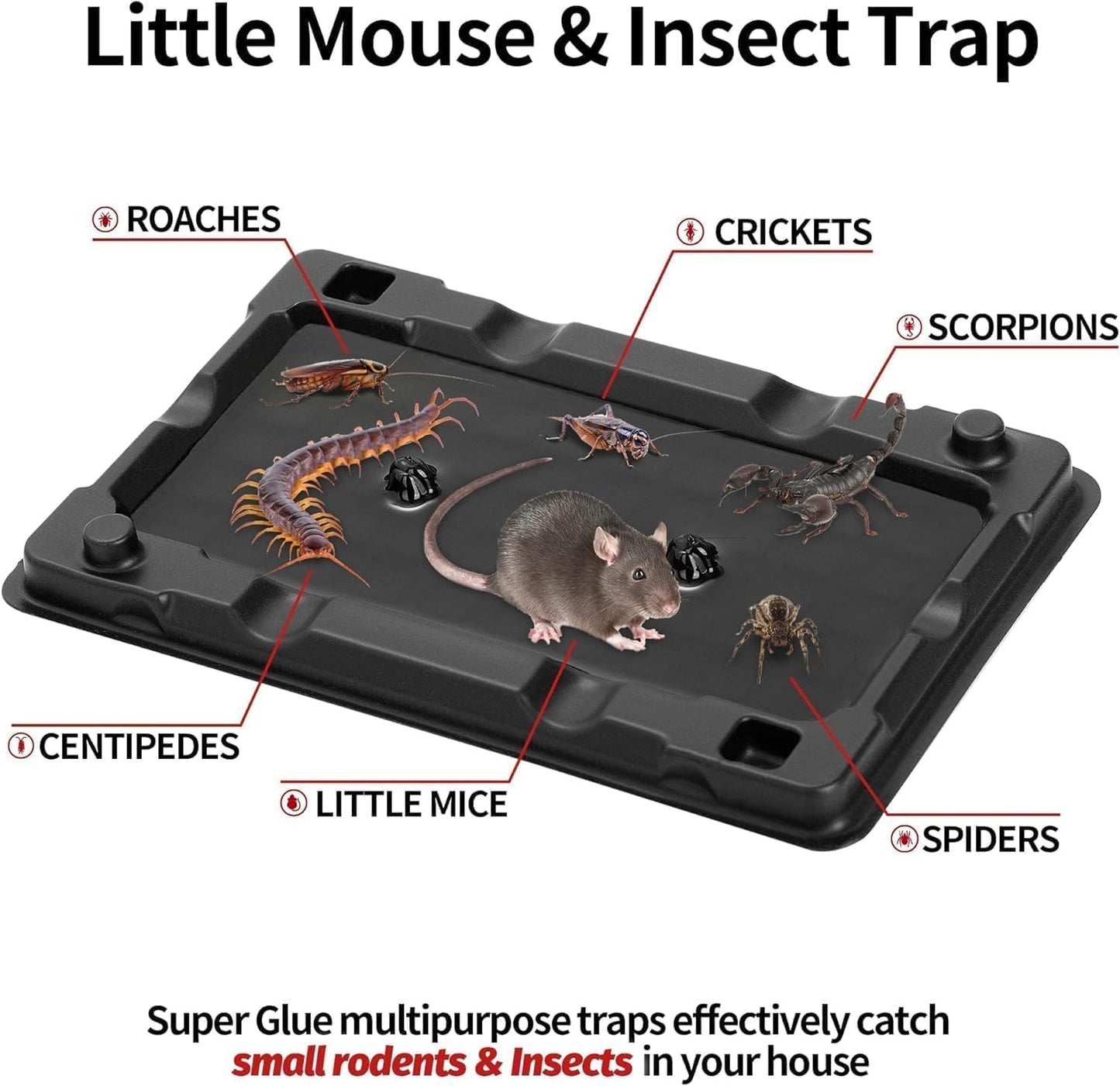 LULUCATCH Mouse & Insect Traps 16 Pack, Heavier Sticky Traps with Non-Toxic Glue for Small Mice & Insects. Sticky Mouse Traps Indoor, Easy to Set, Pet Safe Pest Control