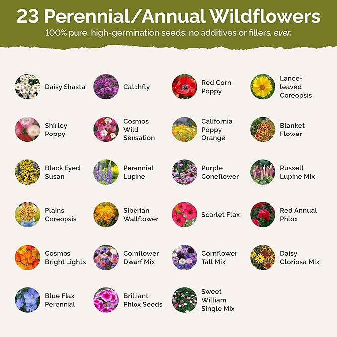 Eden Brothers New Hampshire Wildflower Mixed Seeds for Planting, 1 oz, 30,000+ Seeds with Cosmos, Lupine | Attracts Pollinators, Plant in Spring or Fall, Zones