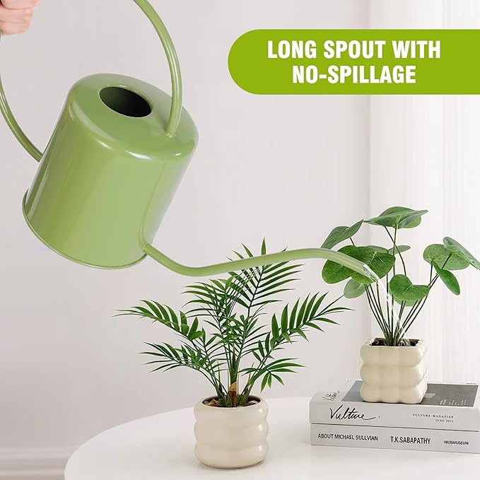 Plant Watering Can, 50 oz / 1500 ml Stainless Steel Metal - Modern Decorative with Long Spout for Indoor Potted Plants, Bonsai, Garden Flowers, Saga Green