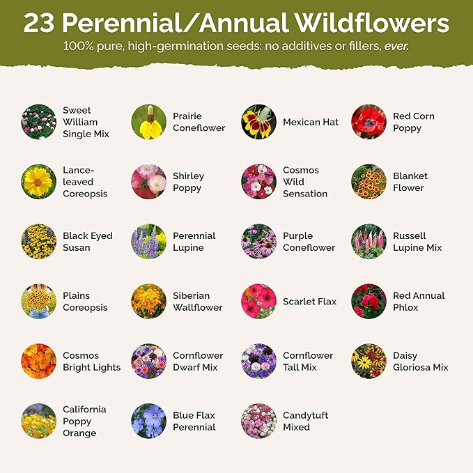 Eden Brothers Illinois Wildflower Mixed Seeds for Planting, 1 oz, 30,000+ Seeds with Cosmos, Blanket Flower | Attracts Pollinators, Plant in Spring or Fall, Zones