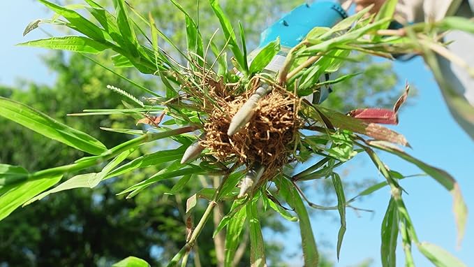 Seesii Electric Stand Up Weed Puller Tool with 20000RPM High-Torque Motor, TD4000 Battery Powered Garden Weeder Total 4000mAh, 3-Claw Steel Head for Smooth Weeding,Gift for Garden Enthusiasts