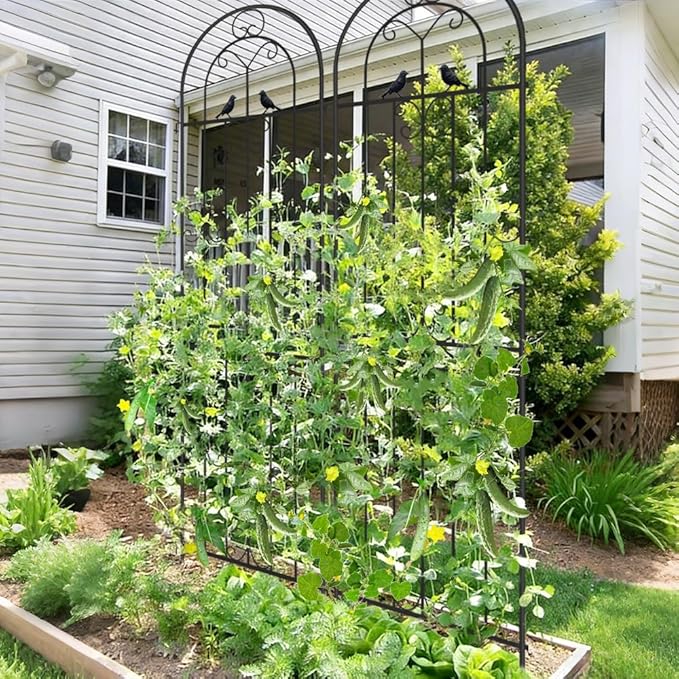 2 Pack Metal Garden Trellis, 86.7" H x 19.7" W Black Coated Wire Lattice Panel, Sturdy Plant Support for Climbing Roses Vines Cucumber Vegetables Outdoor Patio Yard