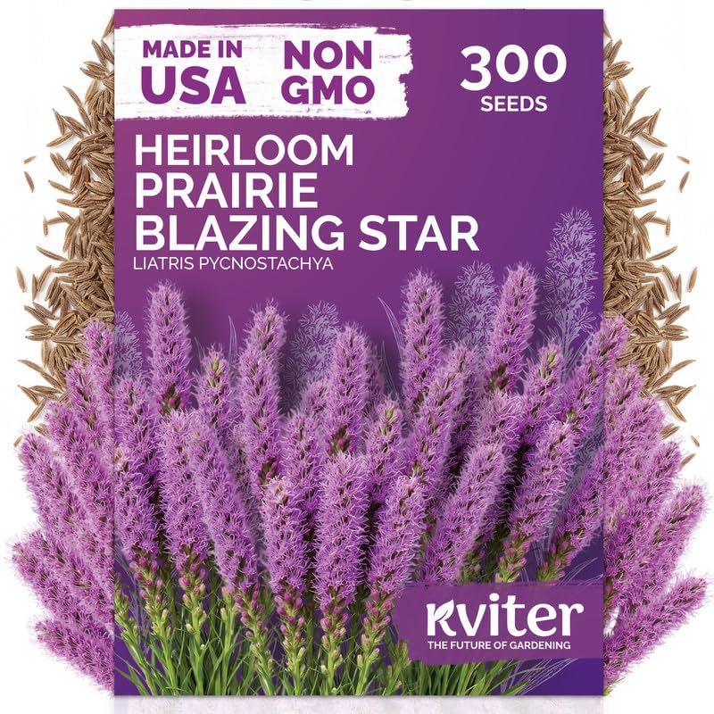 300 Prairie Blazing Star Heirloom Flower Seeds
