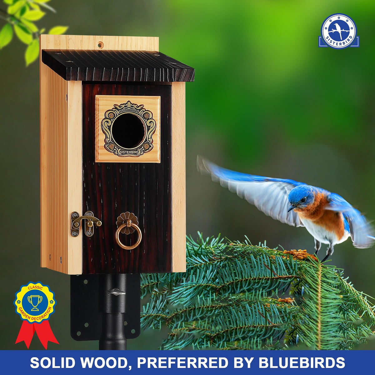 2 Pack Bluebird Houses for Outside (Deeply Burnt Vintage Hue -- 2PK)