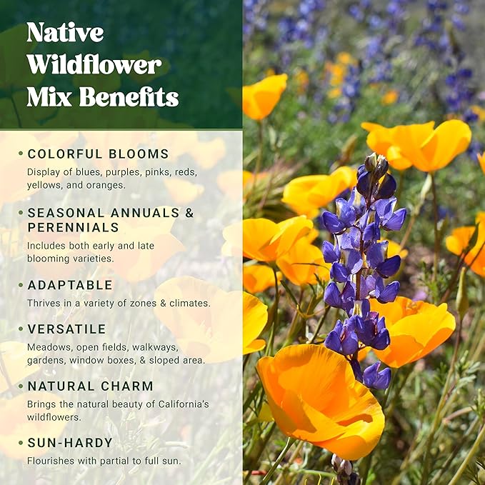 Nature’s Seed California Native Wildflower Seeds Mix Blend, Annual and Perennial, Pollinator-Friendly, 0.5 lbs