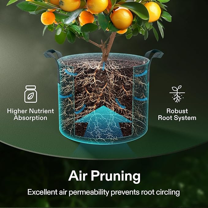 VIVOSUN 10-Pack 3 Gallon Grow Bags, 500G Thick Nonwoven Fabric Pots with Strap Handles, Multi-Purpose Rings, for Low Stress Plant Training Fruits, Vegetables, and Flowers