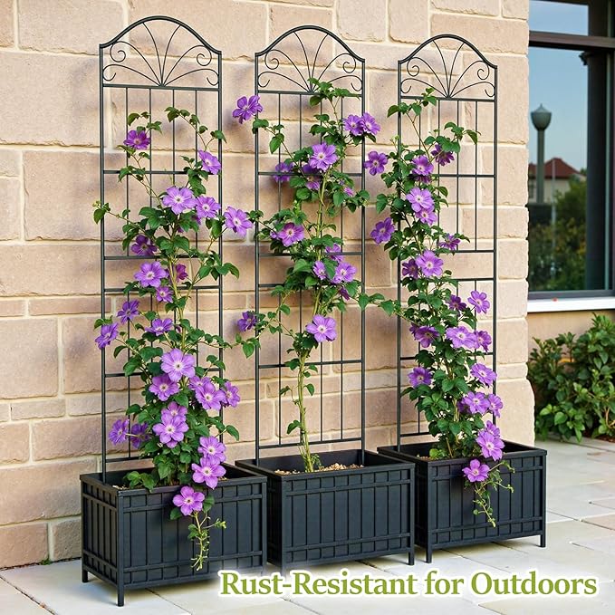 Metal Trellis for Climbing Plants Outdoor, 70 * 19.7 Inch Tall Garden Trellis with Black Rustproof Coating, Decorative Rose Trellis for Climbing Roses, Vines, and Flowers, 2 Pack