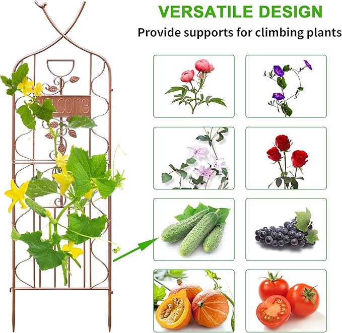 LZRS 2 Pack 59.5 * 18in Rustic Iron Arch Decoration Garden Trellis with Metal Coating – Perfect for Supporting Climbing Plants Outdoor, Roses, Vines, Flowers, and Vegetables, Brown