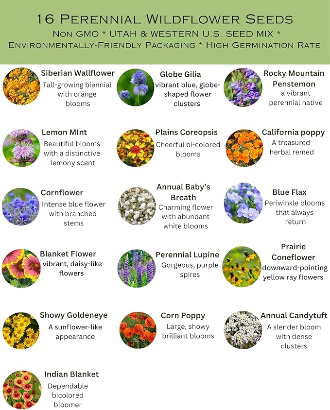 Utah Wildflower Seed Mix, 1 lb Covers 3,200 sq ft, Multi-Color Blooms, Spring and Fall Planting (1/2 Pound)